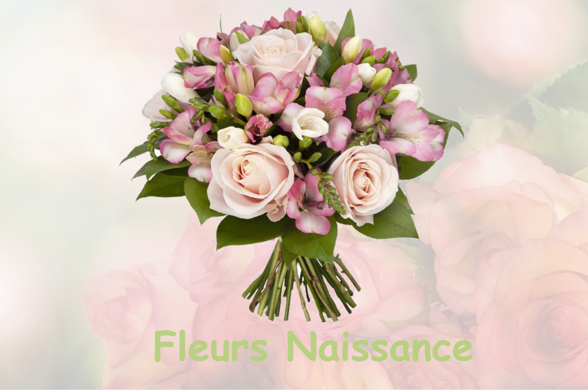 fleurs naissance LE-BIGNON-DU-MAINE