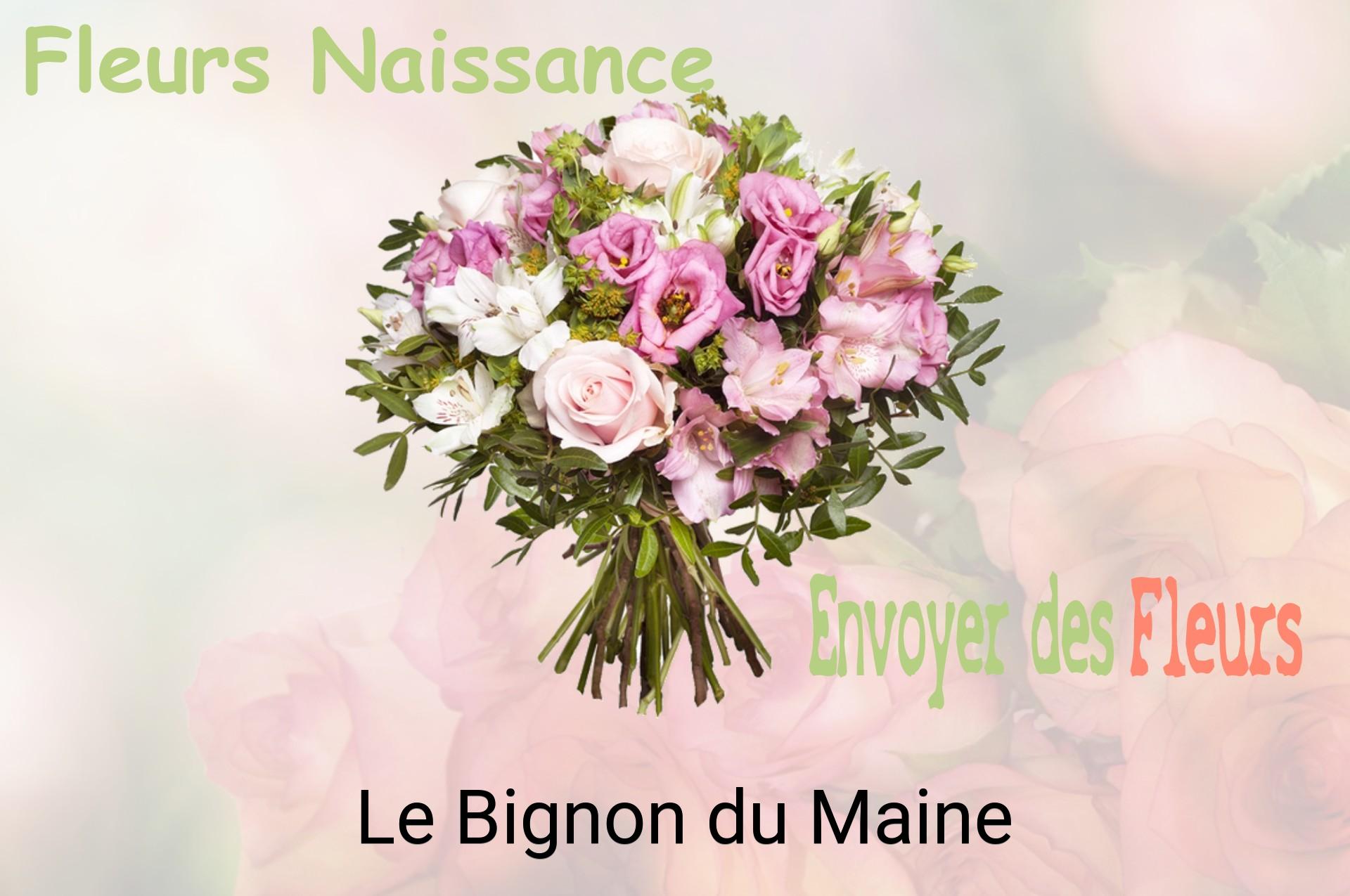Bouquet de fleurs de naissance livré à Le Bignon-du-Maine