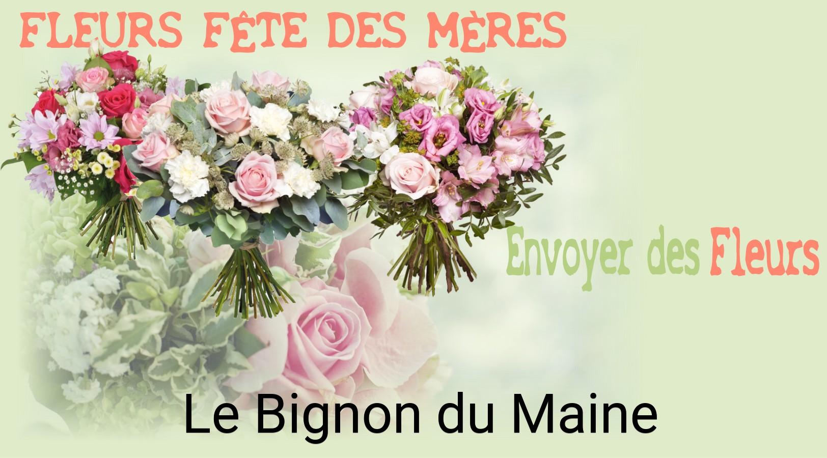 Bouquet de Fête des Mères livré à Le Bignon-du-Maine